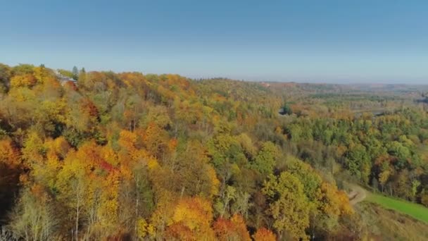 Vuelo de drones 4K bosque amarillo de otoño en la ciudad de Sigulda Letonia — Vídeo de stock