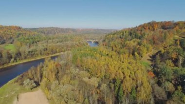 Nehir ve orman sonbahar Sigulda şehir doğada, Gauya, 4 k drone uçuş, araba yukarıdan köprü