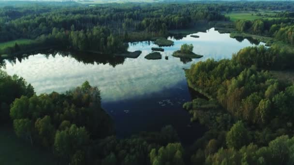 Gyönyörű tó a zöld erdő nyári napsütésben — Stock videók