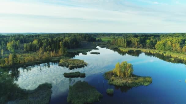 Vacker sjö i gröna skogen solig sommardag — Stockvideo