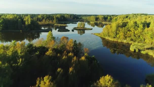 Όμορφη λίμνη στο πράσινο δάσος ηλιόλουστη μέρα του καλοκαιριού — Αρχείο Βίντεο