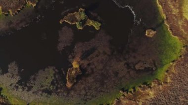 Kemeri bir yaz günü güzel göller 4k Letonya Drone uçuş alanlarla bataklıklarında