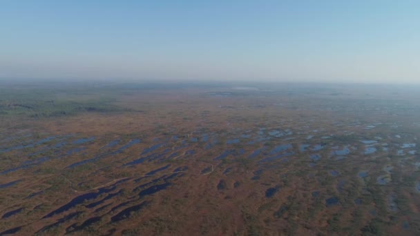 Kemeri の沼地、美しい湖 4 k ラトビア無人飛行のフィールドでの夏の日 — ストック動画