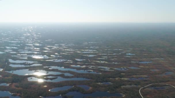 Pântanos em Kemeri um dia de verão com campos de belos lagos 4K Latvia Drone flight — Vídeo de Stock