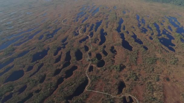 Глибокий Болота Живністю Латвії Кемері Сонячних Променів Незайманої Краси — стокове відео