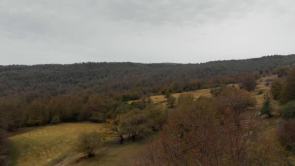 Forêt jaune d'automne dans les montagnes de Géorgie 