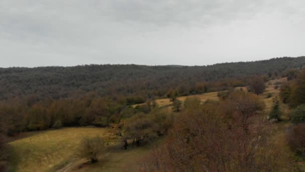 Herbstgelber Wald in den Bergen Georgiens — Stockvideo