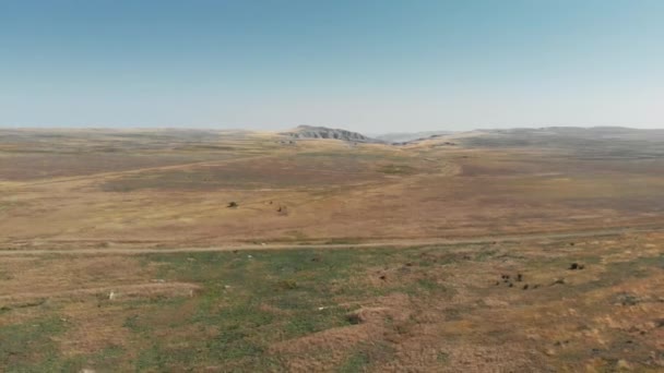 Champs sablonneux et steppes argileuses et montagnes en Géorgie — Video