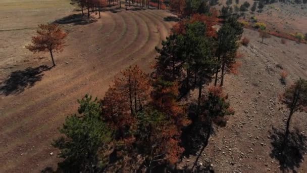 Stromy a horami v Georgia Sandy ostré soutěsky v horách 4k epické Drone letu Kavkazu hills a krásy údolí gruzínských příroda — Stock video