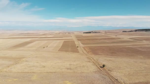 Έρημο στον ΓΕΩΡΓΙΑ όμορφες εκτάσεις της στέπας και μπλε ουρανό — Αρχείο Βίντεο