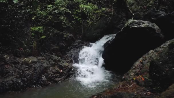 泰国岛上丛林中的瀑布 — 图库视频影像