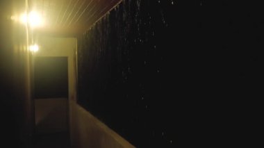 Lamba karanlık Tropikal yağmur gece Fırtına ve Yağmur Tropikal Asya Rüzgar