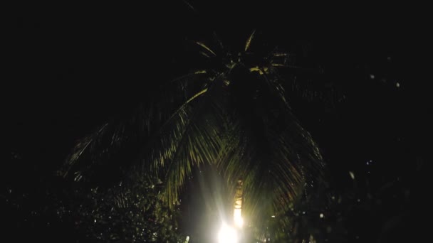 Тропічний дощ вночі буря і дощ в тропічних Азії вітер — стокове відео