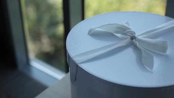 Squirrel round box with a bow from a white ribbon — Stock Video