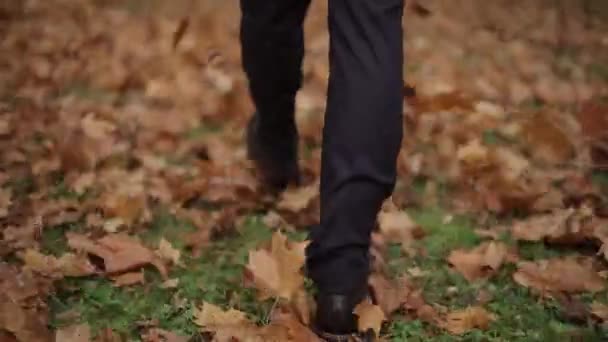 Человек идет по Мэйпл листья на землю в красное осеннее время — стоковое видео