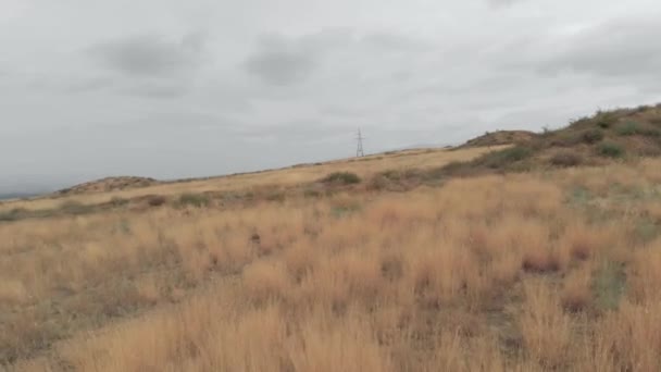 Feld aus gelbem Gras und Turmverkabelung im Herbst Georgien — Stockvideo