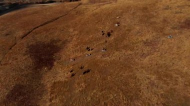 Enduro motosikletleriyle Kafkas dağlarında Enduro motosikletleriyle zorlu bir yolculuk.