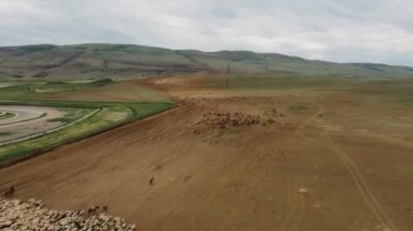 Dağlarda otlayan bir koyun sürüsünün Drone Timelapse 'si 4k 25fps