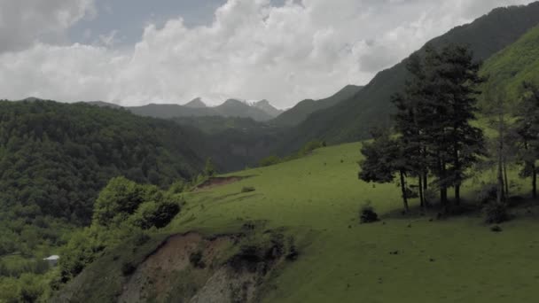 Völgy a hegyekben Grúzia Kazbegi Észak-Kaukázus drón repülés — Stock videók