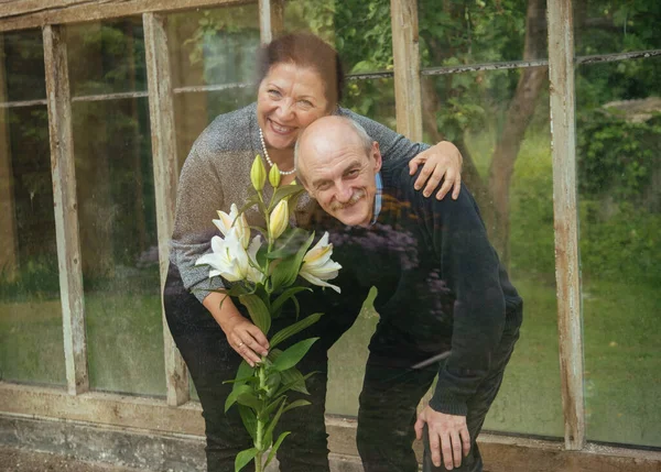 Old happy couple with flowers in a glass greenhouse near summer house