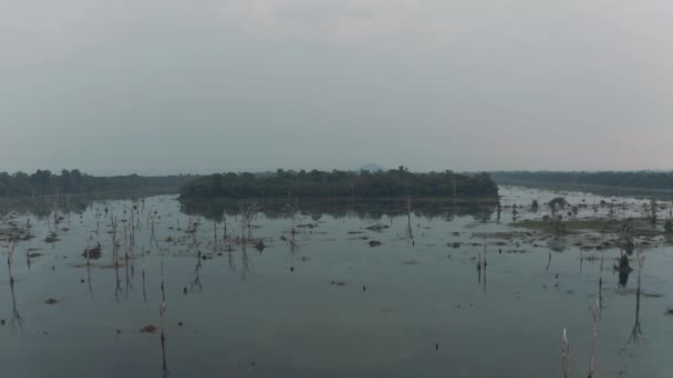 Tó Kambodzsában az Angkor Wat templom közelében Ősi romkomplexum 4k — Stock videók