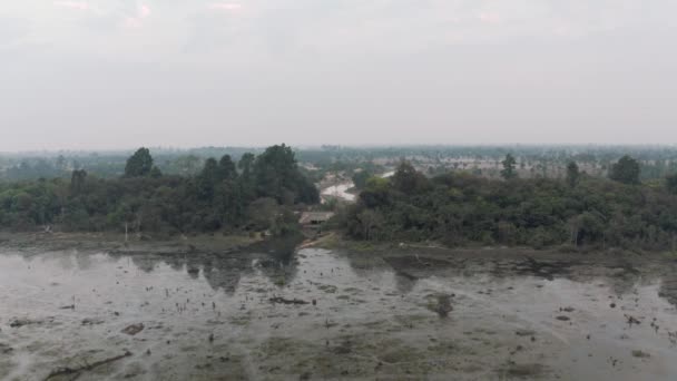 Järven vanhat puut törröttää vedestä Kambodzhassa lähellä antiikin Angkor Wat Temple pilata Complex auringonnousun drone 4k — kuvapankkivideo