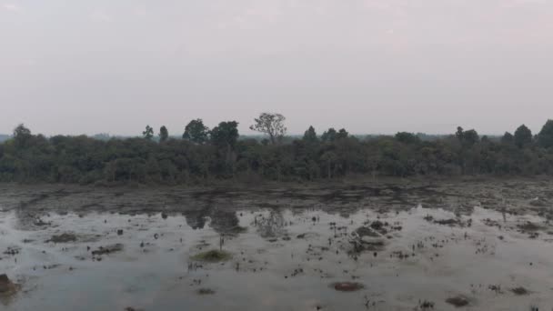 Sjön med gamla träd sticker upp ur vattnet i Kambodja nära gamla Angkor Wat Temple Ruin Complex soluppgång drönare 4k — Stockvideo