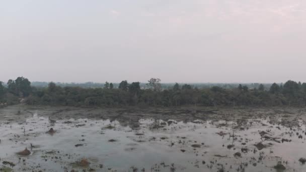 Tó öreg fák állnak ki a vízből Kambodzsában, közel az ősi Angkor Wat Temple Ruin Komplex napkelte drón 4k — Stock videók