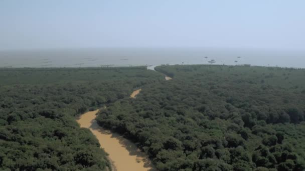 Κίτρινος ποταμός μεταξύ της ζούγκλας στην Καμπότζη, Pean Bang, Tonle Sap λίμνη 4k — Αρχείο Βίντεο