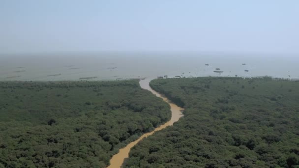 Желтая река среди джунглей в Камбодии, Pean Bang, Tonle Sap Lake 4K — стоковое видео