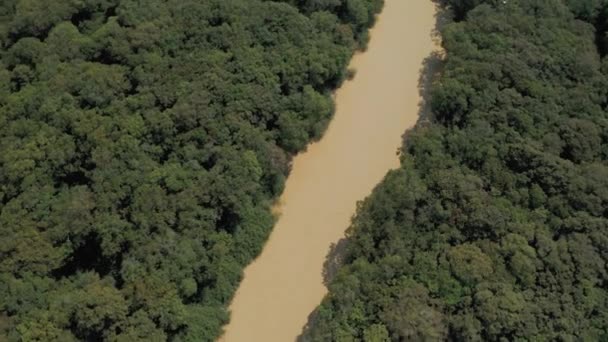 Kamboçya 'daki ormanın içindeki sarı nehir, Pean Bang, Tonle Sap Gölü 4k — Stok video