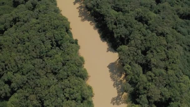 Желтая река среди джунглей в Камбодии, Pean Bang, Tonle Sap Lake 4K — стоковое видео