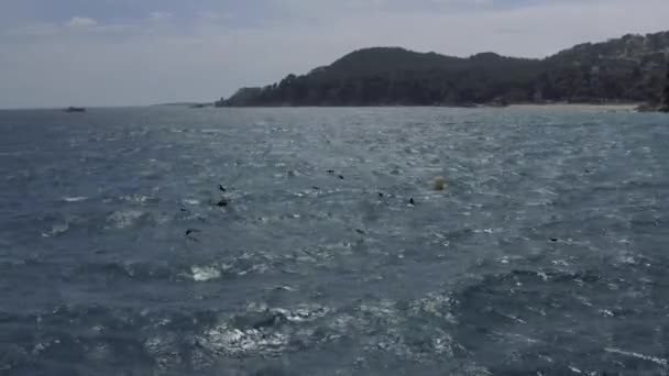 Lloret de Mar Akdeniz 'de yazın İspanya' da İnsansız Hava Aracı — Stok video