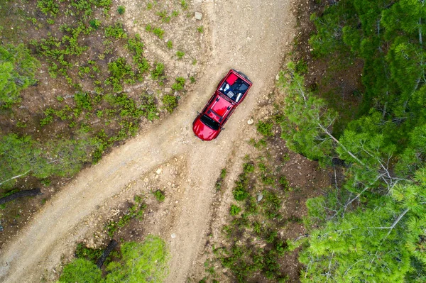 Вид Зверху Фото Червоного Збирання Загублених Лісовій Дорозі — стокове фото