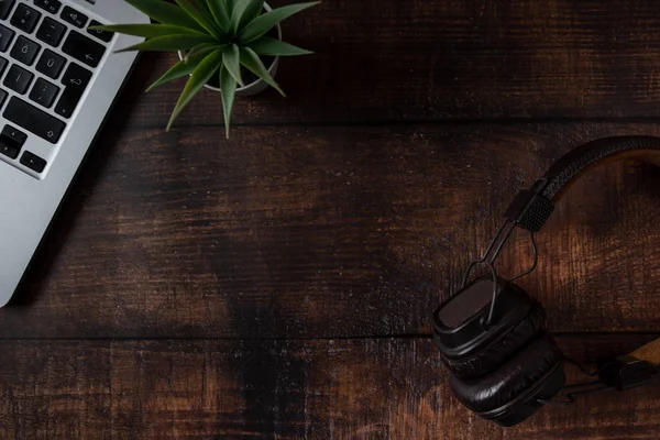 Laptop Headphones Pens Plant Old Wooden Table — Stock Photo, Image