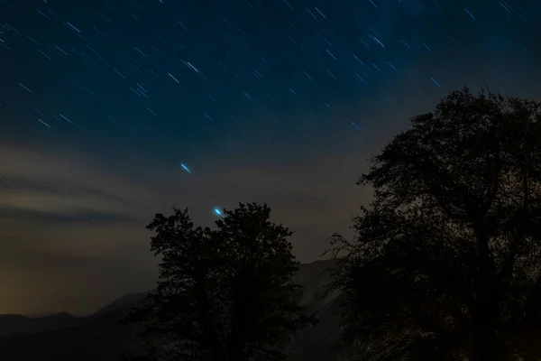 Bild Von Isolierten Bäumen Silhouette Mit Der Nacht Mit Sternenspur — Stockfoto