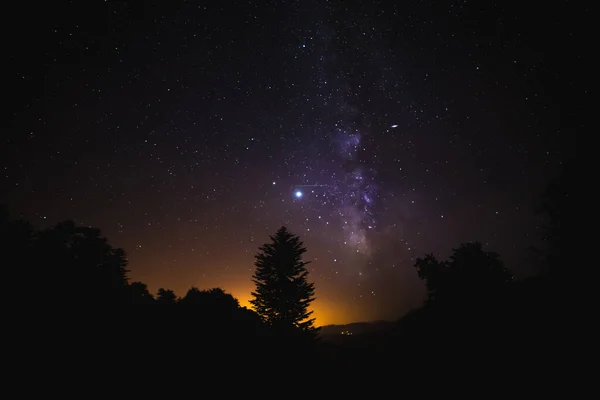 Die Milchstraße Und Einige Bäume — Stockfoto