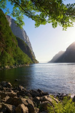 Norveç Lysefjord 'u, çok güzel bir manzara.