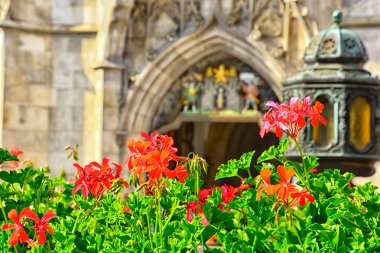 Marienplatz Belediye rathaus ve sütun Münih