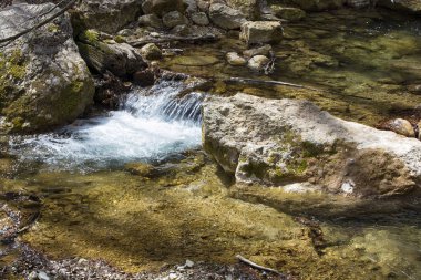  Taşlar ve orman Nehri