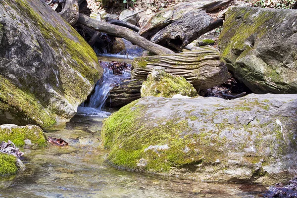 Pierre Forêt Rivière — Photo