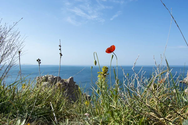 Karadeniz ve büyük dağlar, Balaklava, Crimea