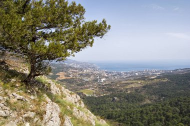 Yalta ve denizin bir yükseklikten görünümü