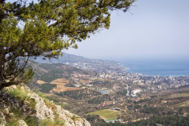 Yalta ve denizin bir yükseklikten görünümü