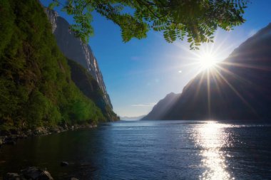 Norveç Lysefjord 'u, çok güzel bir manzara.