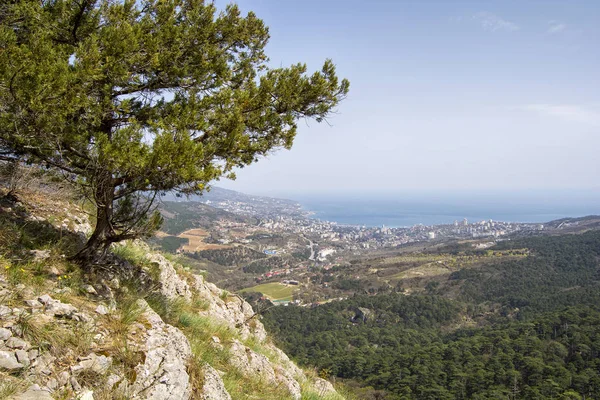 Yalta ve denizin bir yükseklikten görünümü