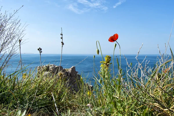 Karadeniz ve büyük dağlar, Balaklava, Crimea