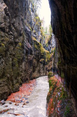 Partnach Gorge, Alman Alpleri
