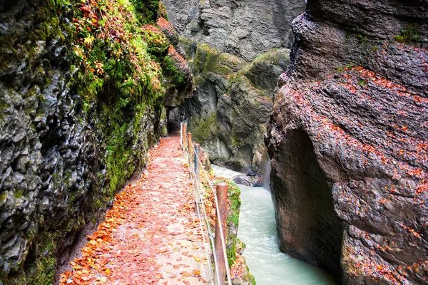 Partnach Gorge German Alps — Stock Photo, Image