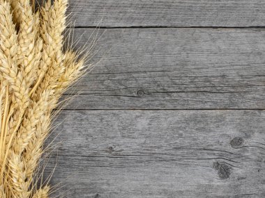 Bohça-in buğday spikelets gri kurulları dışında masada.